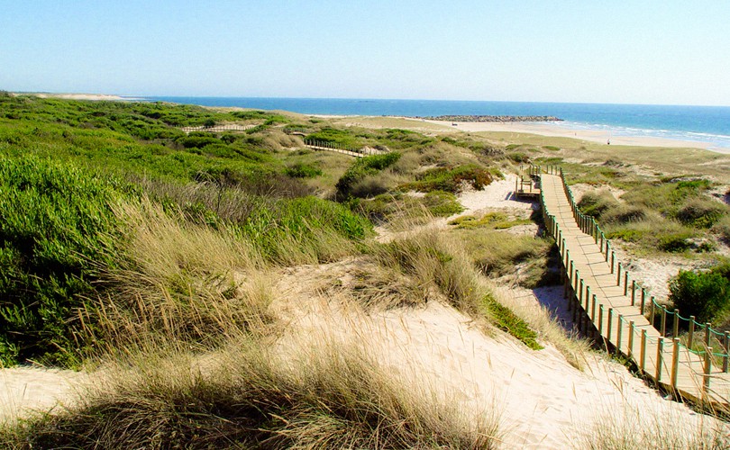Vegetação costeira portuguesa